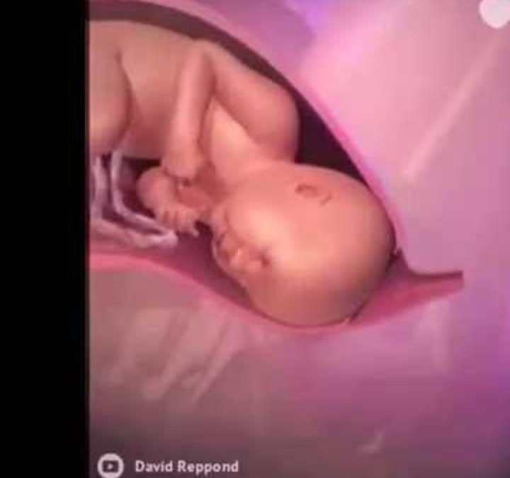 Observa una animación digital en 3D de las etapas …
